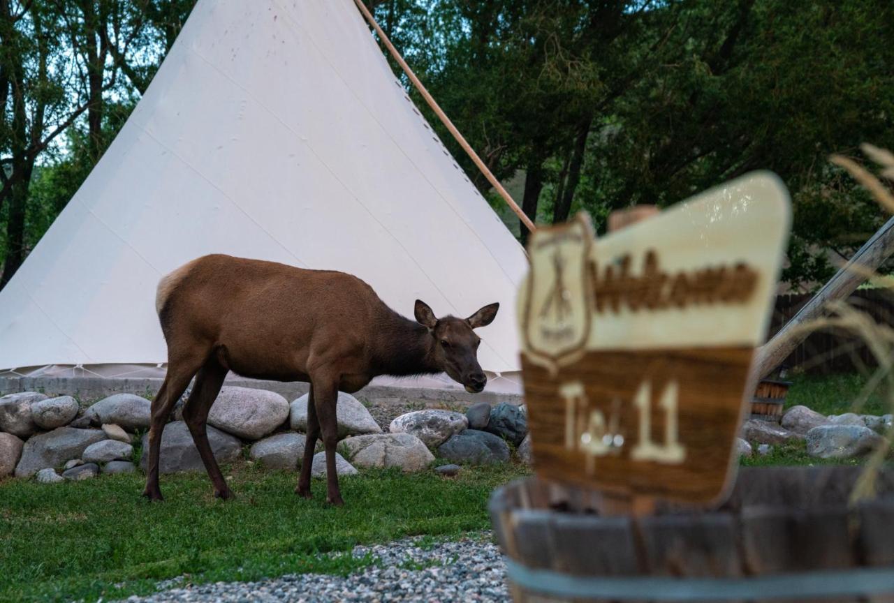 Dreamcatcher Tipi Hotel Gardiner Bagian luar foto